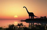 What Really Happened to the Dinosaurs cover